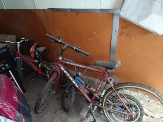 Bicicletas de carretera y ciudad