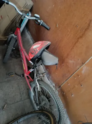 Bicicletas de carretera y ciudad