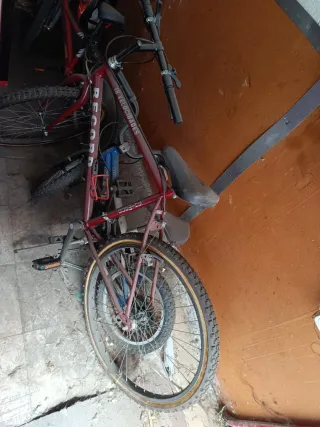 Bicicletas de carretera y ciudad