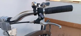 Triobike mono Diseño danes más premiado.