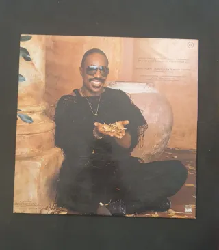 Stevie Wonder - In Square Circle Vinilo