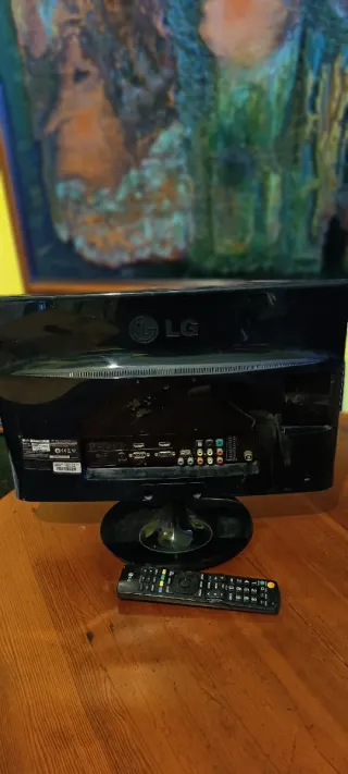 Monitor LG LED HD 48x31cm