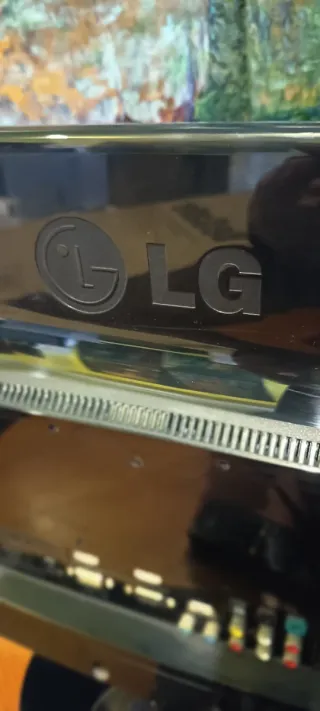 Monitor LG LED HD 48x31cm