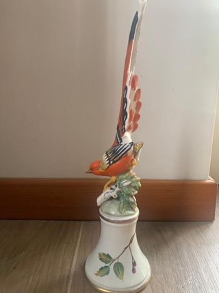 Porcellane con uccelli esotici - Cacciapuoti