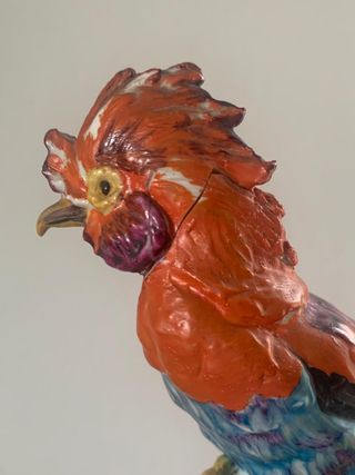 Porcellane con uccelli esotici - Cacciapuoti