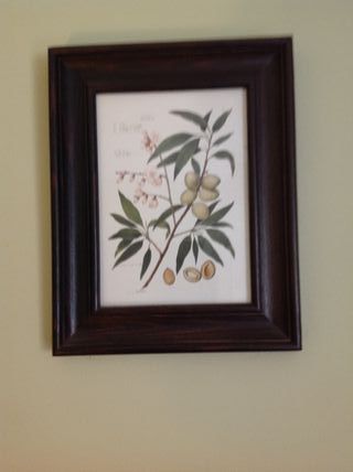 Set 5 Cuadros Botánicos IKEA