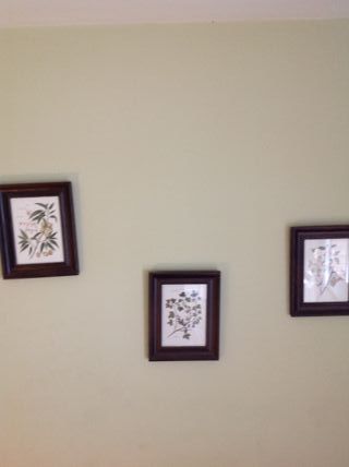 Set 5 Cuadros Botánicos IKEA