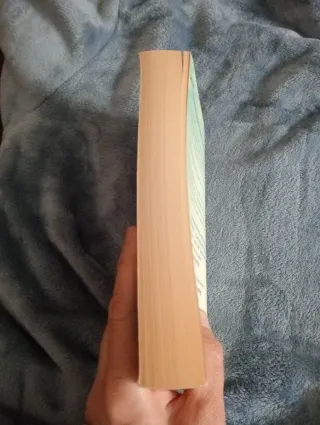 Little Paris Bookshop