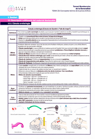 Temari Bombers Generalitat Catalunya