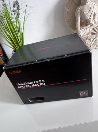 Sigma 70-300mm APO DG Macro