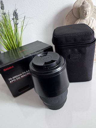 Sigma 70-300mm APO DG Macro