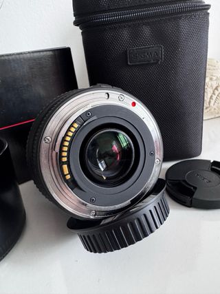 Sigma 70-300mm APO DG Macro