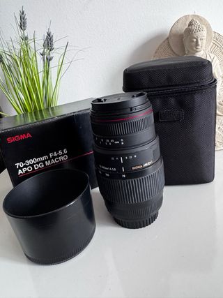 Sigma 70-300mm APO DG Macro