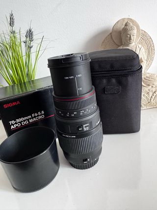 Sigma 70-300mm APO DG Macro