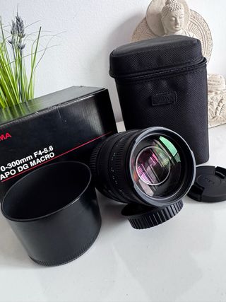 Sigma 70-300mm APO DG Macro