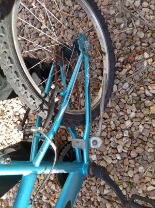 Bici infantil B-PRO 5-12 años