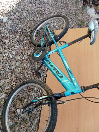 Bici infantil B-PRO 5-12 años