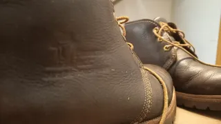 Botas Panama Jack Marrones