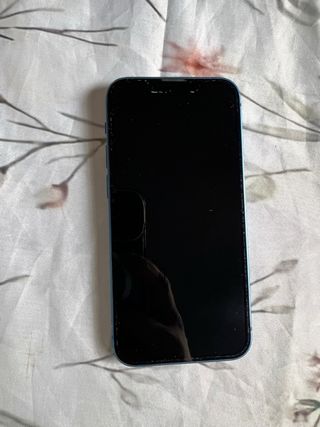 iPhone 13 Mini Blu (pezzi)