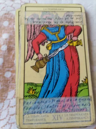 Tarot Arcanos Mayores - La Luna XVIII