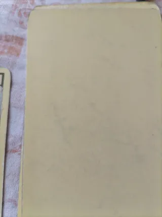 Tarot Arcanos Mayores - La Luna XVIII