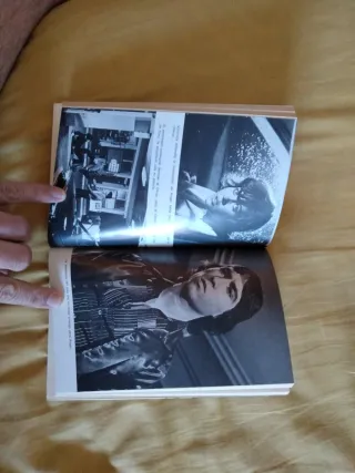 Libro perros callejeros II José Antonio de la loma