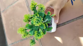 Plantas artificiales decorativas