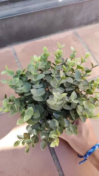 Plantas artificiales decorativas