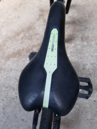 Bmx 20" revisado, engrasado y frenos nuevos