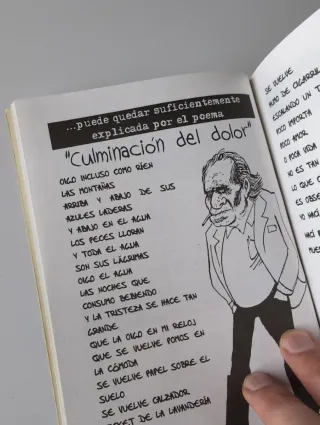 Bukowski Para Principiantes