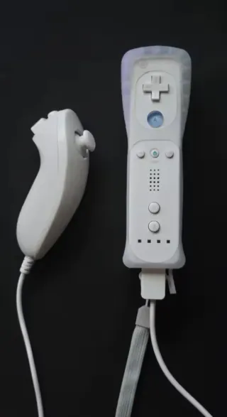 Mando Wii + Nunchuk + Funda