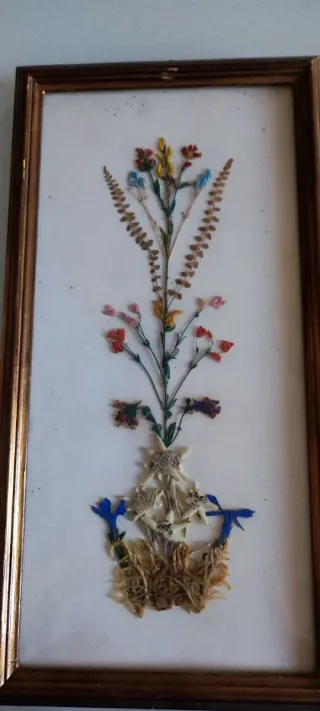 Quadretto fiori secchi e stelle alpine