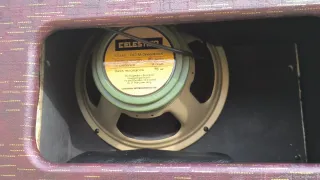 Supro Delegate Custom Amplificador Guitarra