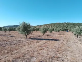 Finca Rustica entre Aguaduce y Osuna .