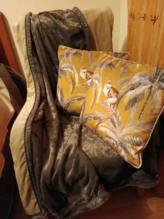 Manta y cojines de terciopelo