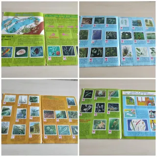 Album figurine Sorella Acqua 1991 Panini