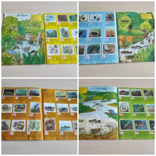 Album figurine Sorella Acqua 1991 Panini