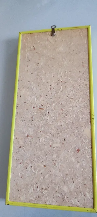 Quadretto fiori secchi e stelle alpine