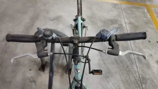 Bicicleta Mint Fox Liam-Koontz