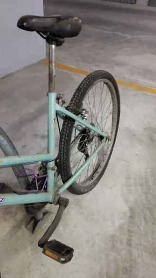 Bicicleta Mint Fox Liam-Koontz