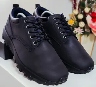 Timberland Winsor Park PT OX Negro
