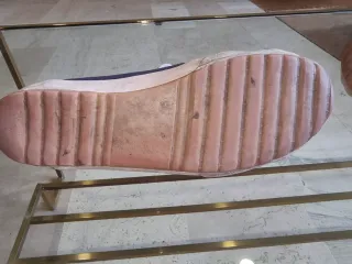 Zapatillas El Ganso Azul y Rojo