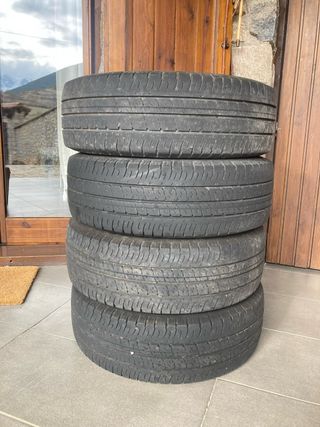 Neumáticos Goodyear Efficient Grip 215/70R15C