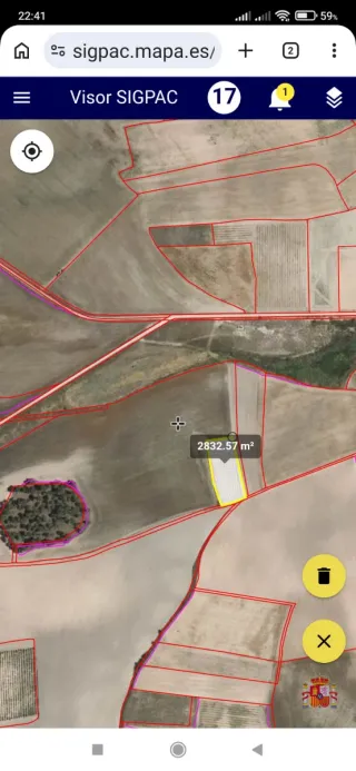 Majuelo Verdejo D.O Rueda