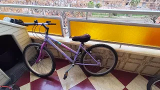 Bicicleta Rueda 24 Morada