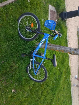 Bicicleta infantil 20 pulgadas, sin ruedines.