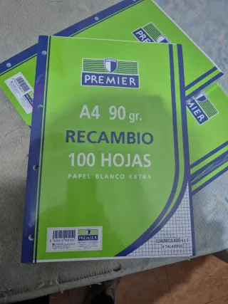 Lote 10 paq Recambios Hojas A4 90gr Premier