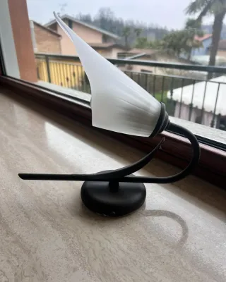 Coppia lampade da parete vetro e metallo