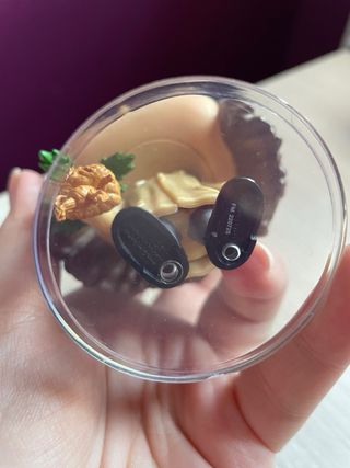 Funko Pop Hermione Granger con Mandrágora