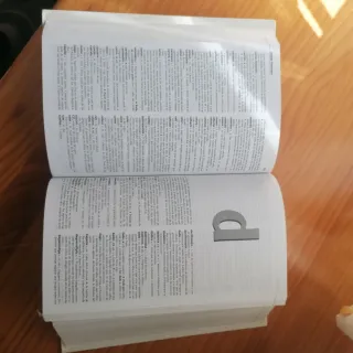 Diccionario Larousse